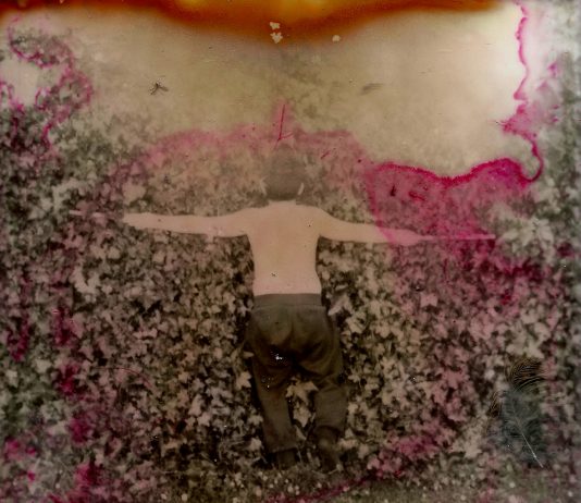 L’ambiente e la vita: visioni fotografiche in dialogo da Movimento Aperto, a Napoli