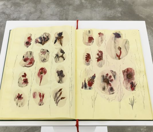 Elisa Montessori, Piante e fiori (moralità boschiva) – Monitor