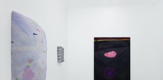 ‘La società delle mangrovie’: Mattia Sugamiele alla Galleria Albanese, Milano