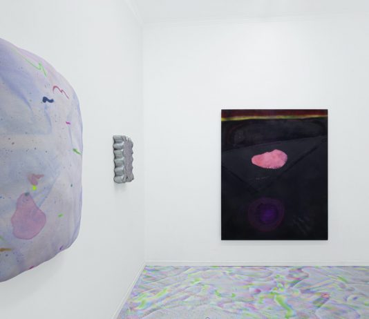 ‘La società delle mangrovie’: Mattia Sugamiele alla Galleria Albanese, Milano