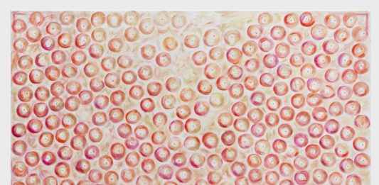 Storia di una collezione: parla Mauro De Iorio