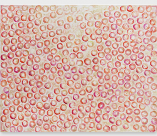 Storia di una collezione: parla Mauro De Iorio