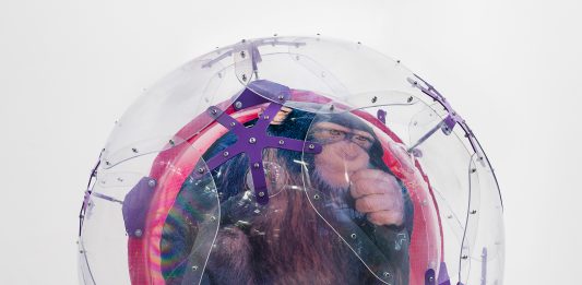 4-U New, torna l’arte ultra contemporanea di Art-Rite art-rite 4U-NEW