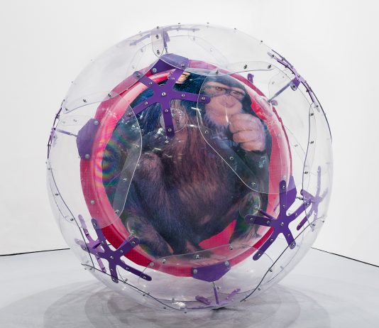 4-U New, torna l’arte ultra contemporanea di Art-Rite art-rite 4U-NEW