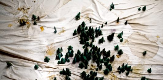 ‘Ne ho abbastanza’: Susann Maria Hempel all’Accademia Tedesca Villa Massimo, Roma