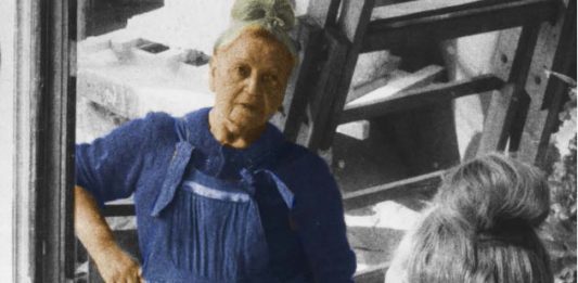 Nicomola degli specchi: Antonietta Raphaël