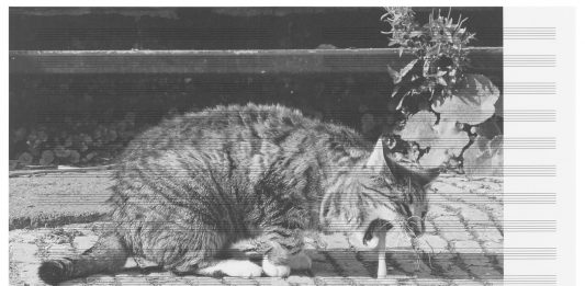 Biennale Arte 2022: l’opera totale di Marco Fusinato per il Padiglione Australia