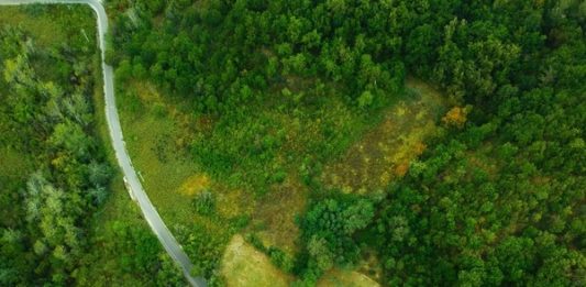 40 artisti per il TANA: a Napoli, una mostra per la ricostruzione