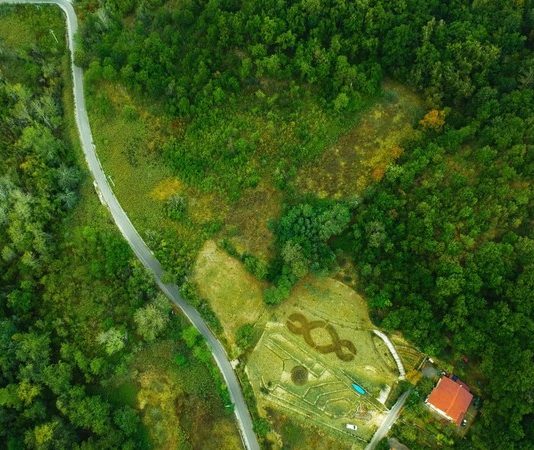 40 artisti per il TANA: a Napoli, una mostra per la ricostruzione