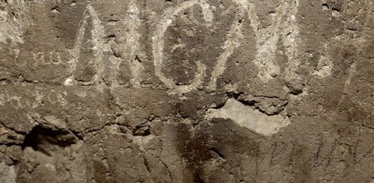 Mostre, concorsi per under 35 e performance: il 2022 al MAXXI L’Aquila