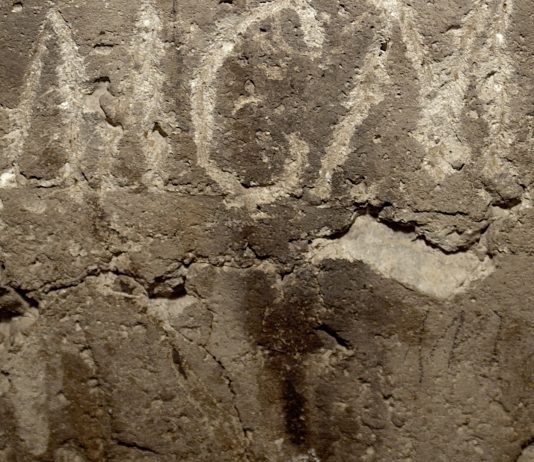 Mostre, concorsi per under 35 e performance: il 2022 al MAXXI L’Aquila