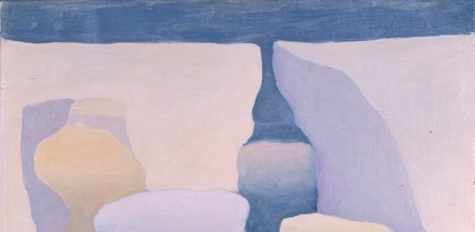 Il sogno di una collezione rediviva, finalmente aperta al pubblico