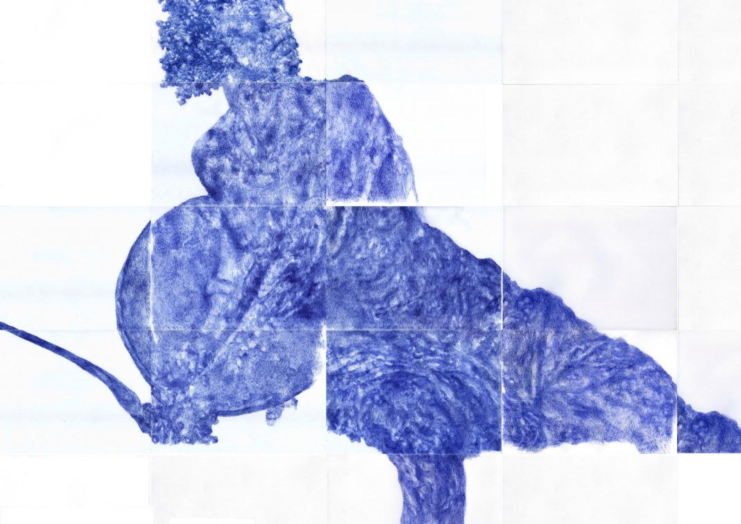 03_Daniele Marzorati_Omo_2020-2021_biro su carta_63 foglia a4_180x210 cm_dettaglio