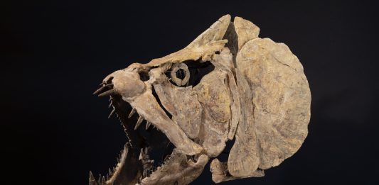 La settimana di Cambi: mirabilia, arte cinese e design mirabilia cambi