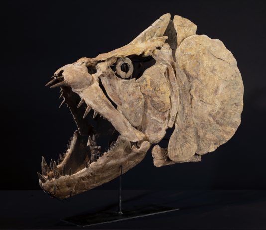 La settimana di Cambi: mirabilia, arte cinese e design mirabilia cambi