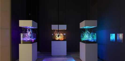 Arte e Scienza dall’antico al contemporaneo, al Palazzo delle Esposizioni di Roma