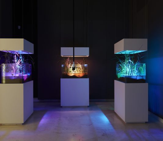 Arte e Scienza dall’antico al contemporaneo, al Palazzo delle Esposizioni di Roma