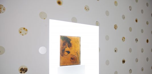 Arte & Scienza: l’esempio di Anicka Yi