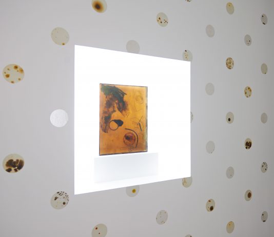 Arte & Scienza: l’esempio di Anicka Yi