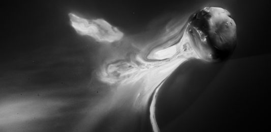 Antonio Biasiucci con ‘Corpo Ligneo Corpo Latteo’ a Magazzino, Roma