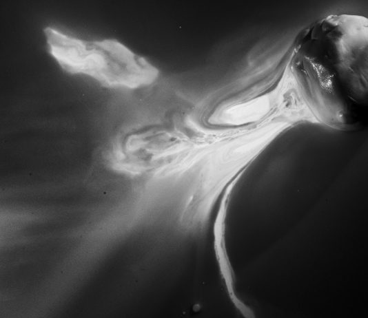 Antonio Biasiucci con ‘Corpo Ligneo Corpo Latteo’ a Magazzino, Roma