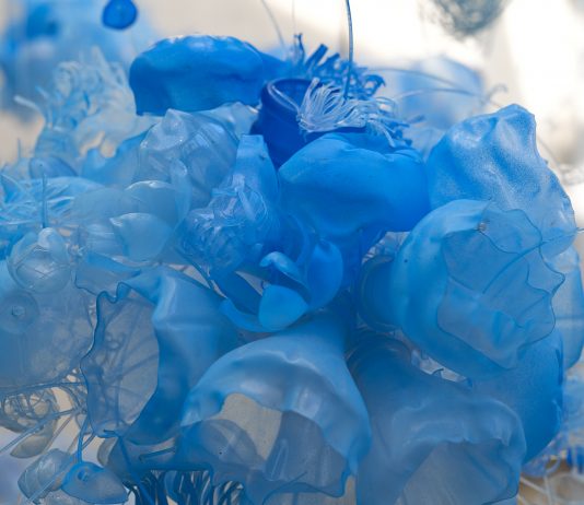 Le terre finiscono: opere e suggestioni della mostra Lands End, a San Francisco