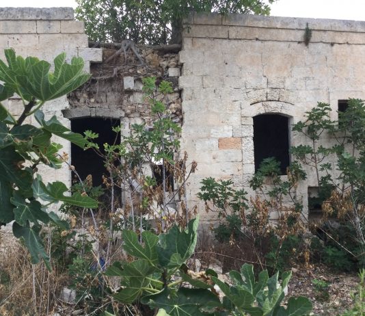 Guillermina De Gennaro, Incontro con la natura (Work of Nature) – Acta International