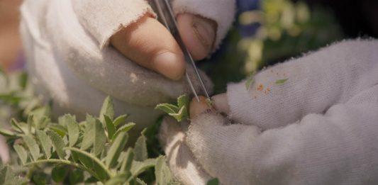 ‘Le 3 ecologie’: undici artisti al MACTE, Termoli