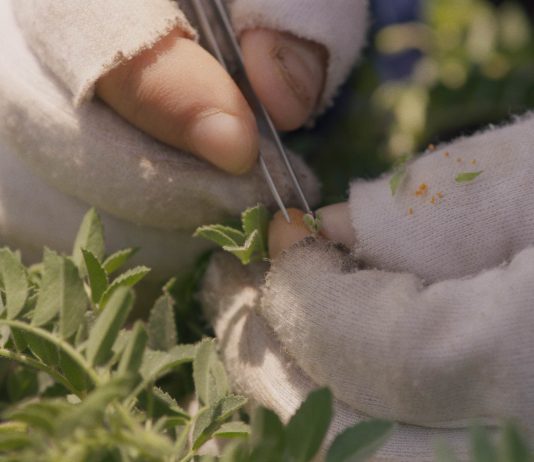 ‘Le 3 ecologie’: undici artisti al MACTE, Termoli