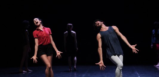 Corpi come cellule macroscopiche, in cerca di patria