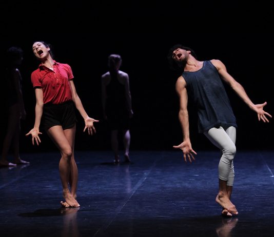 Corpi come cellule macroscopiche, in cerca di patria