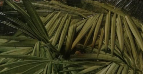 ‘Hortus Conclusus’: la prima personale di Ilaria Simeoni alla CRAG Gallery, Torino