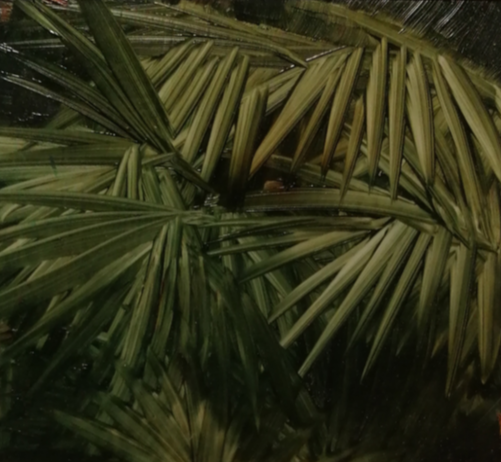 ‘Hortus Conclusus’: la prima personale di Ilaria Simeoni alla CRAG Gallery, Torino