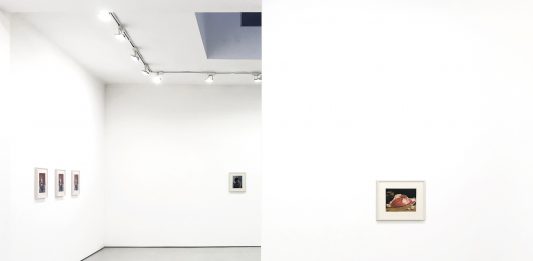 ‘One of These Days. One of These Days’: Robert Davis alla Luce Gallery, Torino