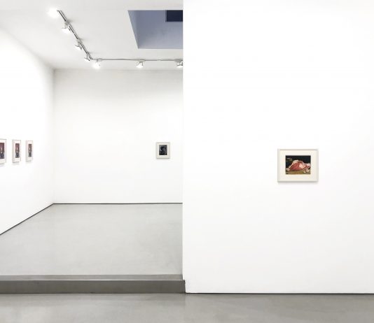 ‘One of These Days. One of These Days’: Robert Davis alla Luce Gallery, Torino