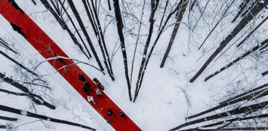Il lungo tappeto rosso nella foresta russa del Malevich Park Opera di Gregory Orekhov al Malevich Park