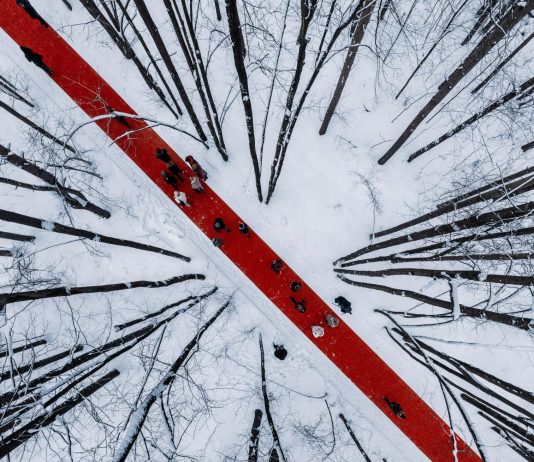 Il lungo tappeto rosso nella foresta russa del Malevich Park Opera di Gregory Orekhov al Malevich Park