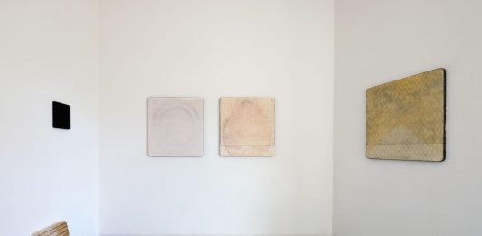 Sebastiano Dammone Sessa, Innesti – CRAC Gallery