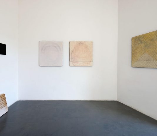Sebastiano Dammone Sessa, Innesti – CRAC Gallery
