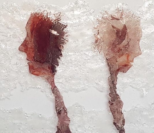 Depaoli, Rota, Tornielli e Trematerra alla galleria Malinpensa, Torino