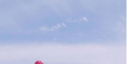 10 milioni di posti di lavoro persi nella cultura: il rapporto UNESCO rapporto unesco cultura