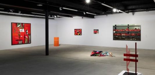 La Collezione Giancarlo e Danna Olgiati presenta Vedo Rosso