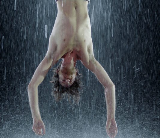 Il limite della stasi: Bill Viola a Roma