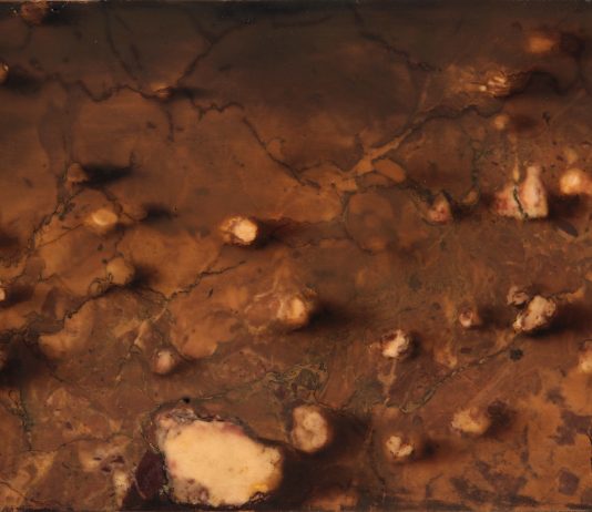 Nicola Samorì: una pinacoteca orizzontale a Villa d’Este