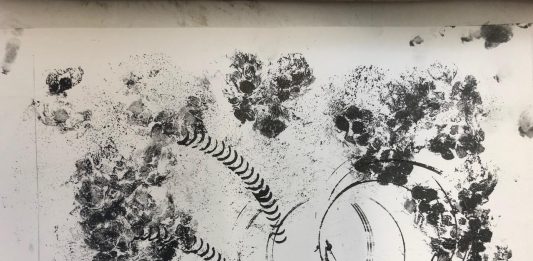 Andrea Polichetti, A Territorial Affair – CAOS Centro Arti Opificio Siri