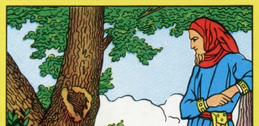 Ingresso per un pubblico da 1 a 6 anni: Alessandro Cicoria da Cosmo