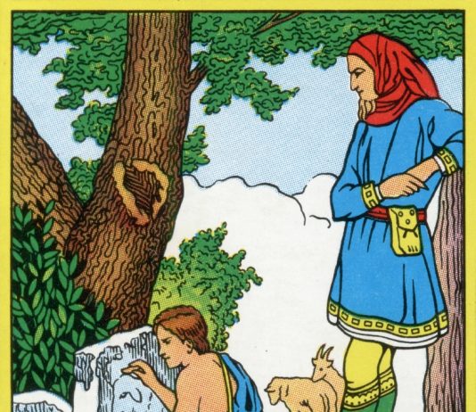 Ingresso per un pubblico da 1 a 6 anni: Alessandro Cicoria da Cosmo