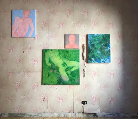 Altri fiori per camera tua, Dario Nanì – Casa Vuota