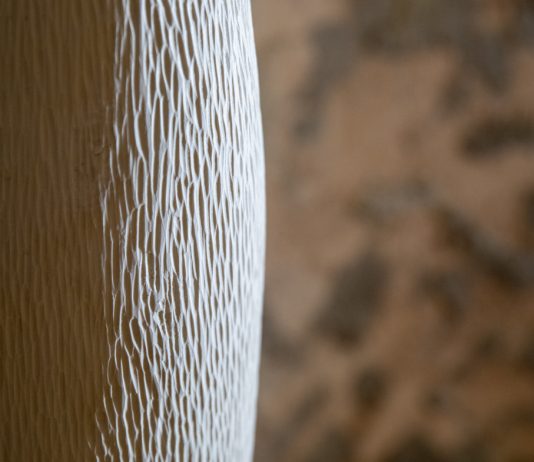 Fraxinus ornus: sculture lignee di Riccardo Masini alla Galleria Sinopia