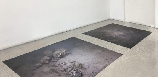 Vita del fiume: l’installazione di Iginio De Luca fa tappa a Frosinone